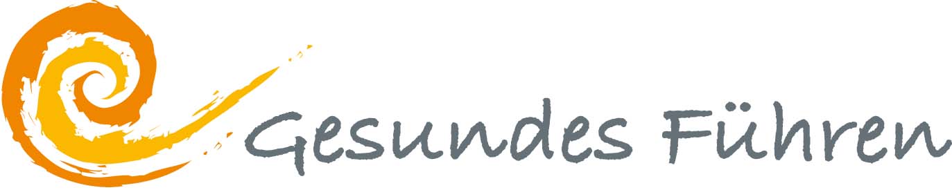 gesundes_fhren_fin
